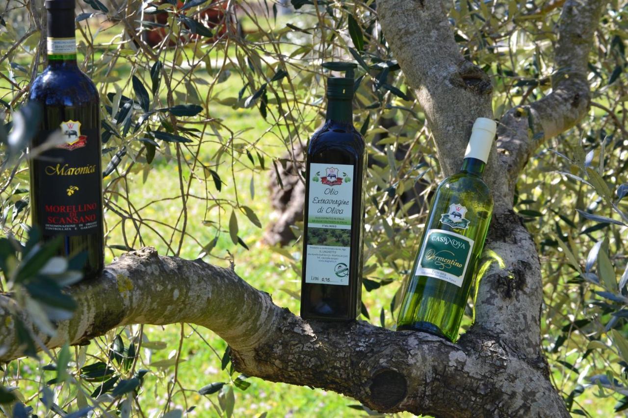 Agriturismo Il Laghetto Γκροσέτο Εξωτερικό φωτογραφία
