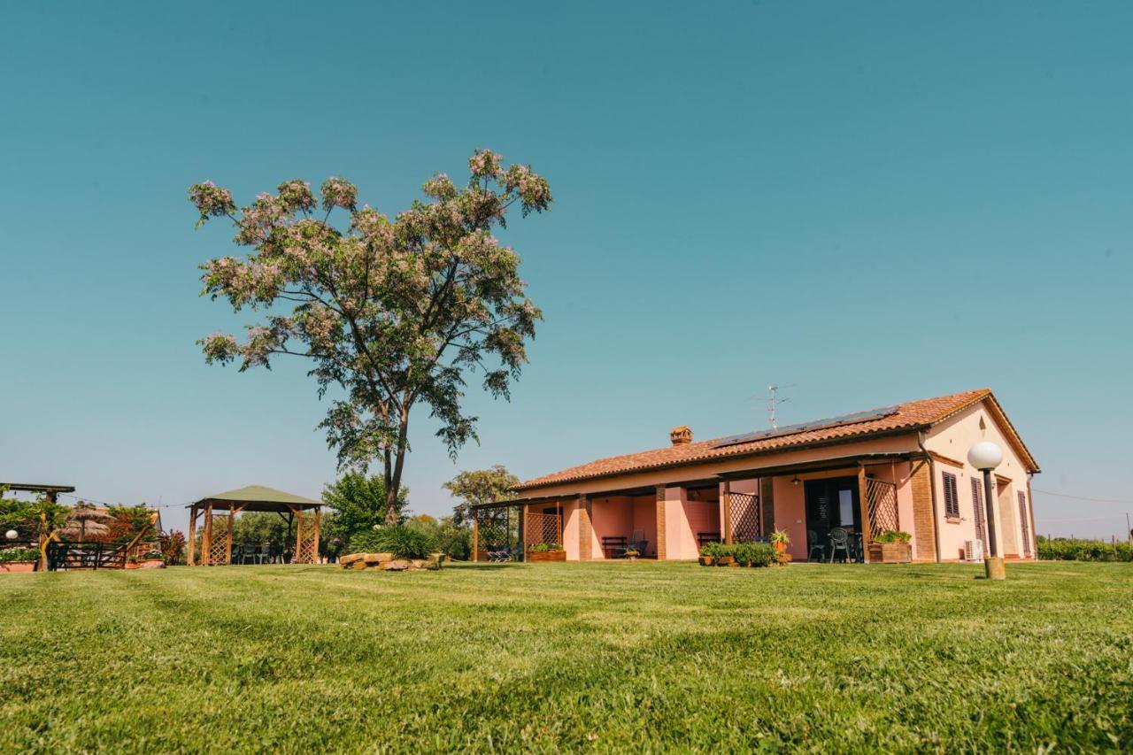 Agriturismo Il Laghetto Γκροσέτο Εξωτερικό φωτογραφία