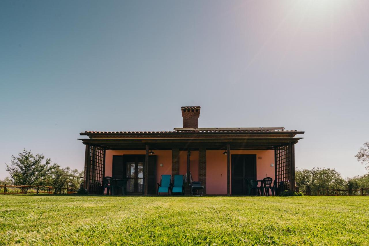 Agriturismo Il Laghetto Γκροσέτο Εξωτερικό φωτογραφία
