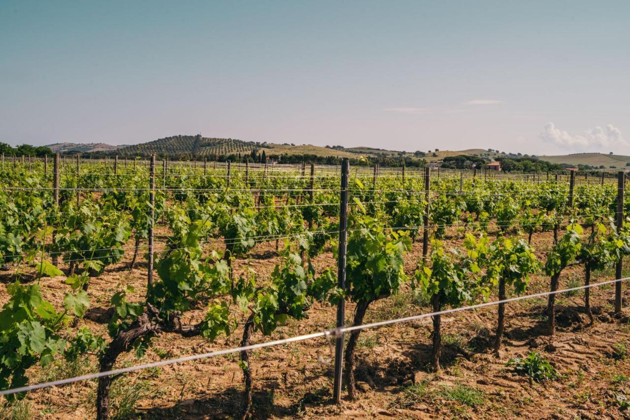 Agriturismo Il Laghetto Γκροσέτο Εξωτερικό φωτογραφία