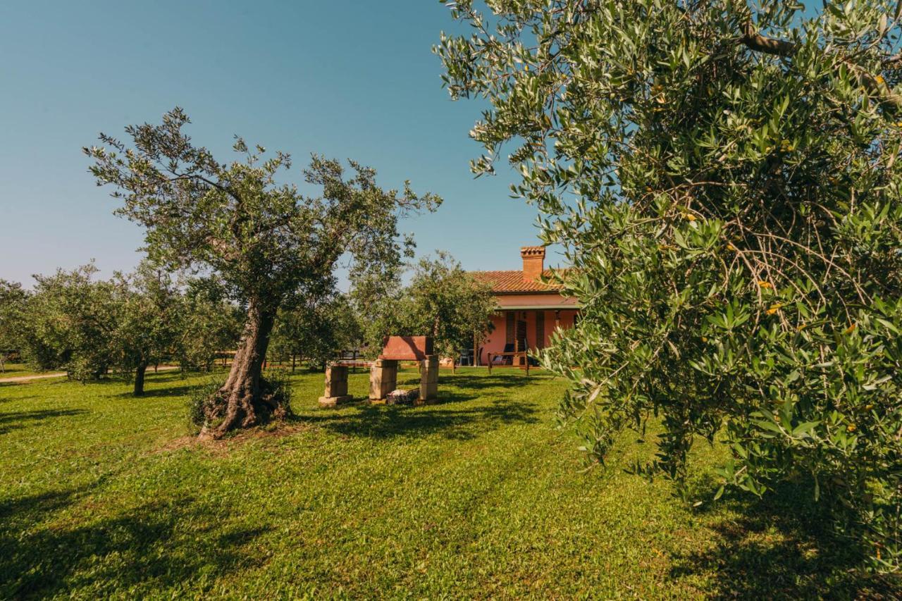 Agriturismo Il Laghetto Γκροσέτο Εξωτερικό φωτογραφία